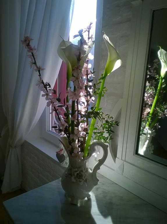 Bed & Breakfast Canova 트레비소 외부 사진